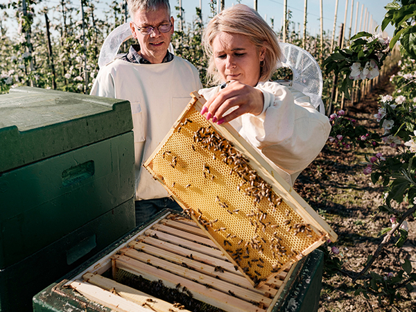 Olga Berg und Jan Fischer betrachten ein Glas mit REWE-eigenem Honig. 