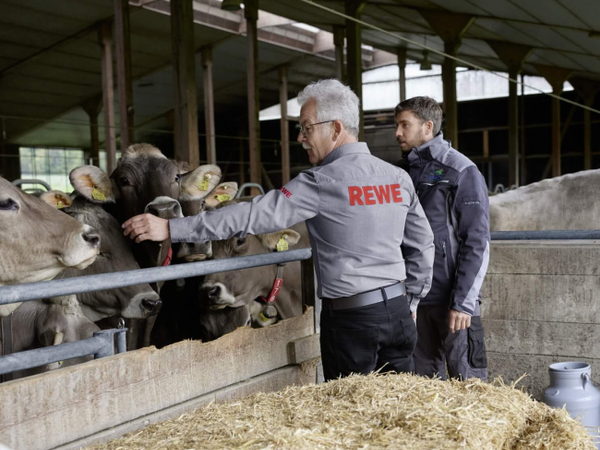 REWE Kaufmann Rainer Hahn streichelt eine von Michael Müllers Kühen.