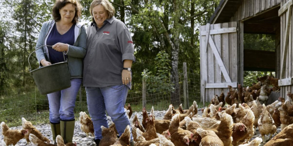 Mechthild Klose und REWE Kauffrau Ursula Wintgens füttern gemeinsam Mechthilds Hühner. 