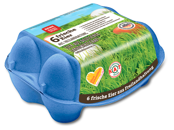 Eine Packung mit 6 frischen Eiern aus Freilandhaltung der Güteklasse A von REWE Beste Wahl. Die Packung trägt das Herkunftskennzeichen Deutschland, das KAT Label und das respeggt Siegel „Ohne Kükentöten”. 
