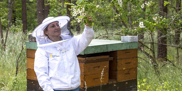 Karin Lang steht an einem Bienenstock und betrachtet die Akazienblüten.  