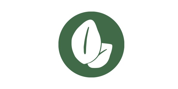 Ein grünes, rundes Label mit einem Blatt und der Aufschrift „vegan“ weist auf vegane Produkte im REWE Markt hin.