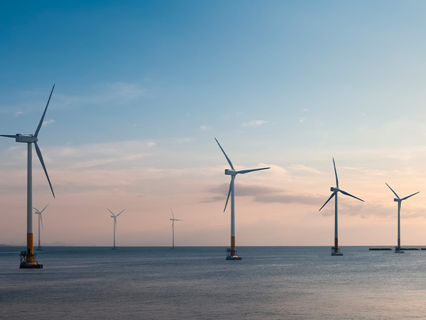 Ein Offshore-Windpark: Viele Windräder stehen im Meer.