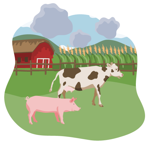 Ein illustrierter landwirtschaftlicher Betrieb. Im Vordergrund stehen eine Kuh und ein Schwein auf der Weide. Im Hintergrund erkennt man ein Feld.