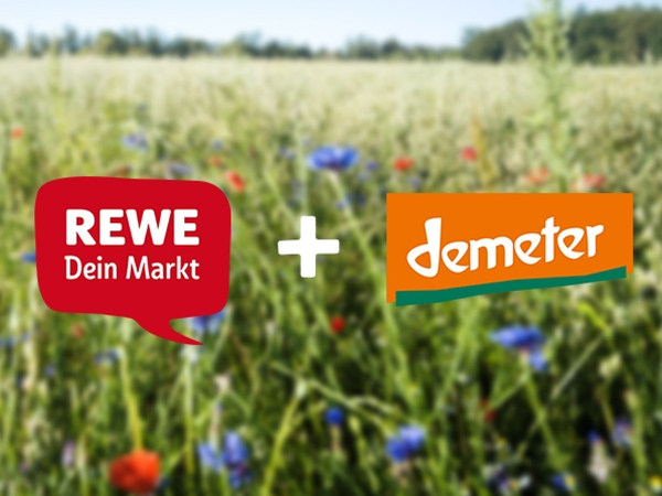 REWE Logo und demeter Logo mit Blumenwiese im Hintergrund