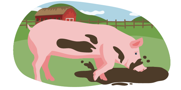 Ein illustriertes Schwein in Freilandhaltung. Es wühlt auf einer Wiese im Matsch. Die Bedingungen entsprechen Haltungsstufe 4.