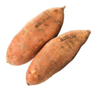Zwei REWE Bio Süßkartoffeln mit Natural Branding. 