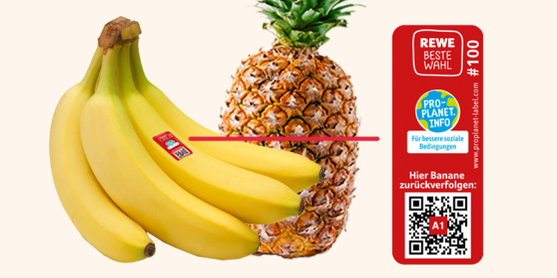 Eine Banane und eine Ananas mit dem QR-Code des REWE Herkunftstrackers.     