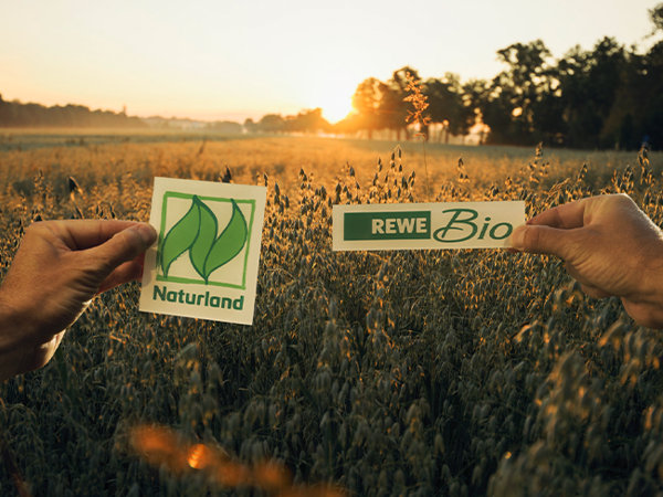 Ein Feld im Sonnenuntergang. Zwei Hände halten ein Naturland und ein REWE Bio Logo davor.