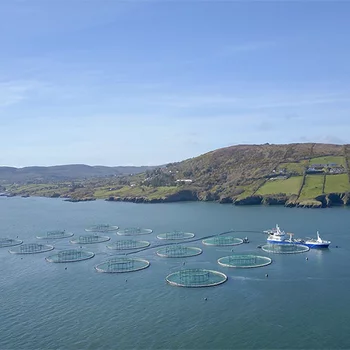 Eine Aquakultur in einem norwegischen Fjord. 