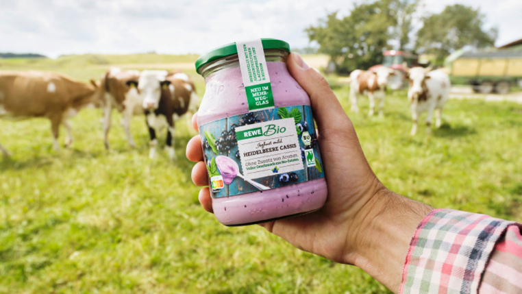 Bio-Kühe auf der Weide. Eine Hand hält ein Glas REWE Bio Joghurt ins Bild.