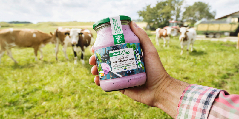 Bio-Kühe auf der Weide. Eine Hand hält ein Glas REWE Bio Joghurt ins Bild.