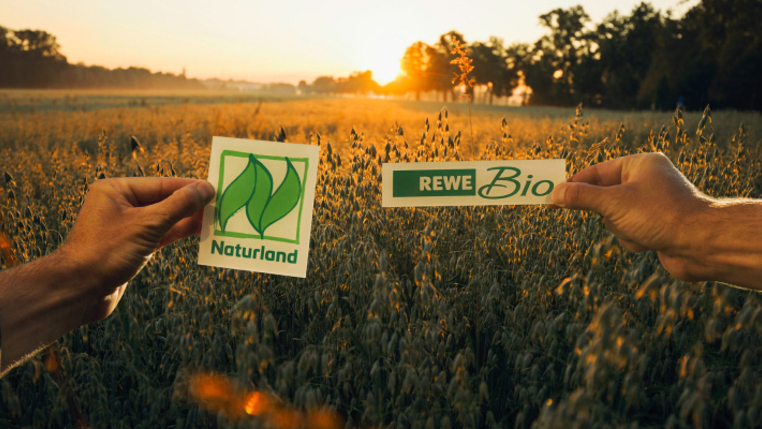 Ein Getreidefeld bei Sonnenaufgang. Zwei Hände halten je ein kleines Schild ins Bild. Auf einem ist das Naturland Logo, auf dem anderen das REWE Bio Logo zu sehen.