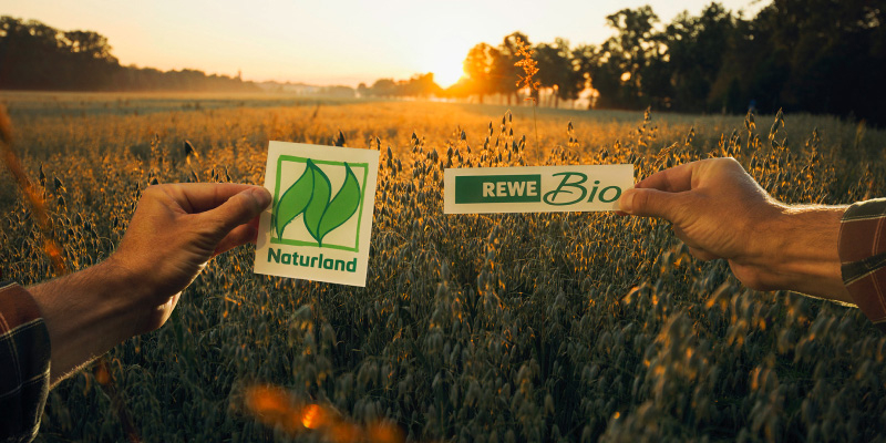 Ein Getreidefeld bei Sonnenaufgang. Zwei Hände halten je ein kleines Schild ins Bild. Auf einem ist das Naturland Logo, auf dem anderen das REWE Bio Logo zu sehen.