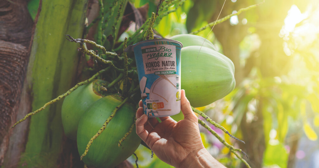 Sonnenstrahlen fallen durch die Blätter einer Kokospalme. Eine Hand hält einen Becher REWE Bio Kokosjoghurt in Richtung der Kokosnüsse. 