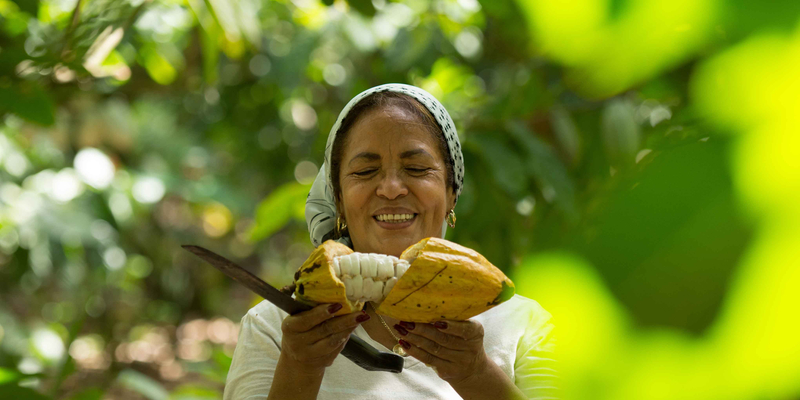 Eine lächelnde Kleinbäuerin öffnet eine Kakaobohne mit einem Messer. 