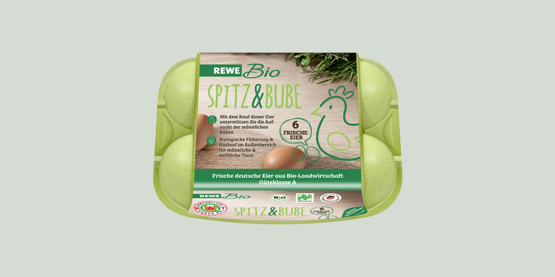 Eine Packung REWE Bio Eier Spitz und Bube. 