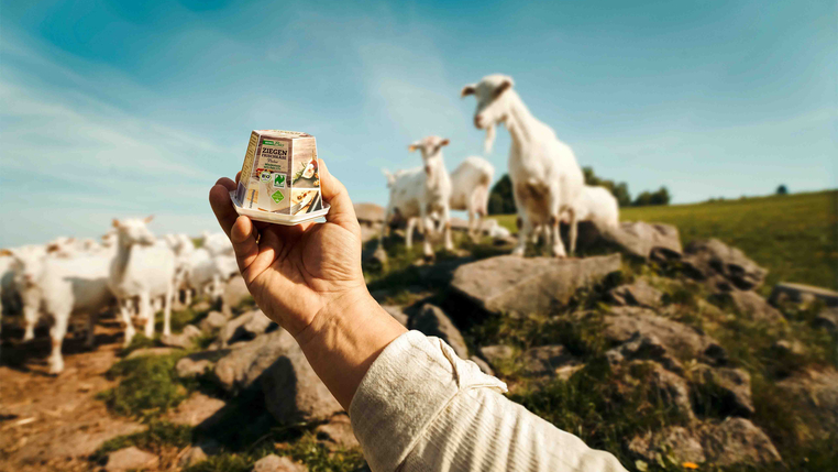Eine Herde Bio-Ziegen auf der Weide. Eine Hand hält eine Packung REWE Bio Ziegenfrischkäse ins Bild.