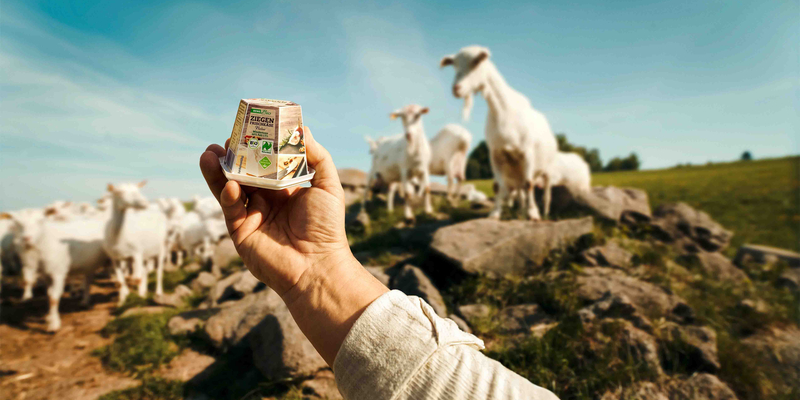 Eine Herde Bio-Ziegen auf der Weide. Eine Hand hält eine Packung REWE Bio Ziegenfrischkäse ins Bild.