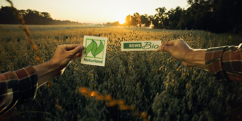 Ein Getreidefeld bei Sonnenuntergang. Zwei Hände halten je ein Schild mit einem Naturland und mit einem REWE Bio Logo hoch. 