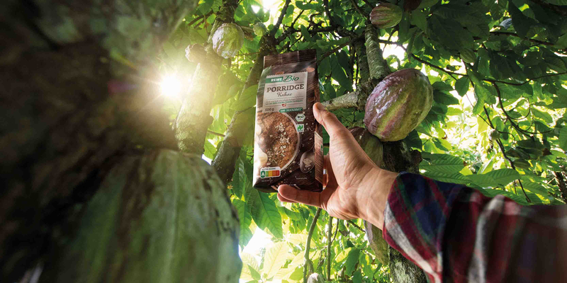 Die Sonne fällt durch die Blätter eines Kakaobaums. Eine Hand hält eine Packung REWE Bio Porridge Kakao hoch. 